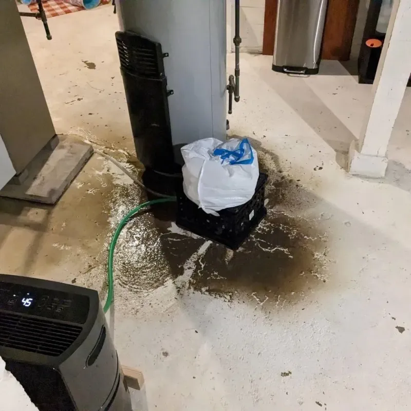 Sewage Backup Cleanup Service in Groesbeck, OH